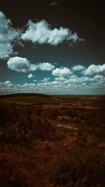 Tiro Vertical Prados Com Árvores Dia Sombrio — Fotografia de Stock