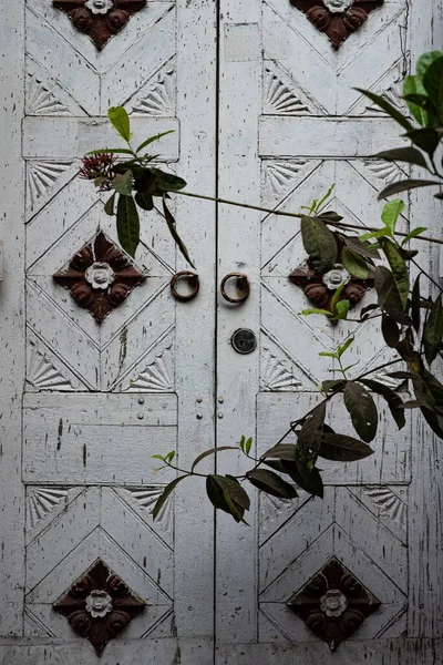 Tiro Vertical Das Folhas Frente Uma Porta Madeira Branca Decorada — Fotografia de Stock