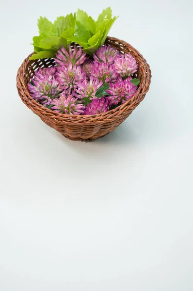 Vertical Shot Red Clovers Basket Gray Surface Space Text — Stock Photo, Image