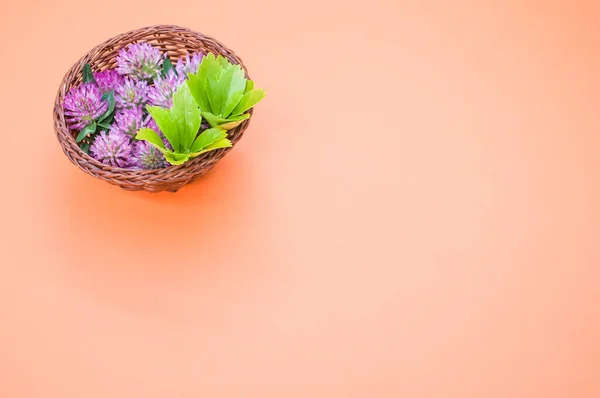 Vysokoúhlý Snímek Červeného Hřebíčku Košíku Broskvovém Povrchu Prostorem Pro Text — Stock fotografie