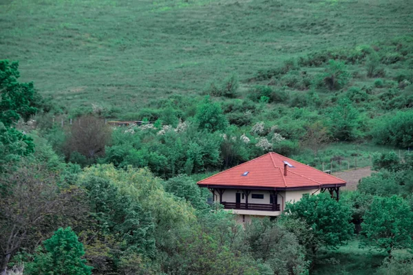 Piękny Widok Dom Otoczony Drzewami Zielenią — Zdjęcie stockowe