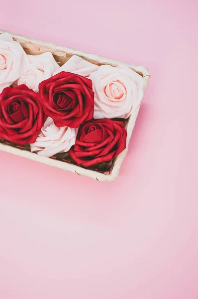 一朵美丽的红白相间的玫瑰在一个粉色背景的盒子里垂直地照了下来 — 图库照片