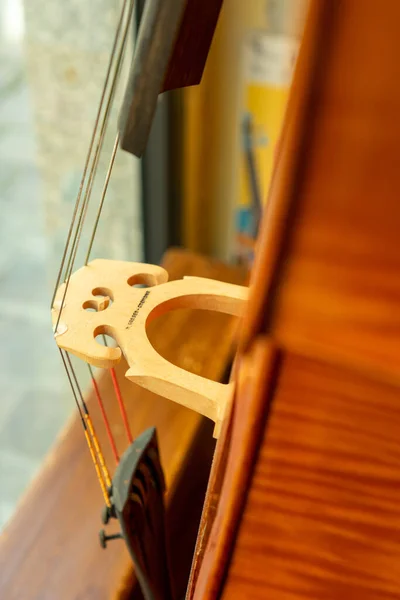 Cremona Italië Mei 2021 Cremona Italië Mei 2021 Master Luthier — Stockfoto