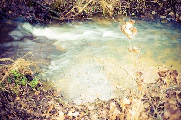 熱水噴霧の高角度ショットと周りの乾燥草 — ストック写真