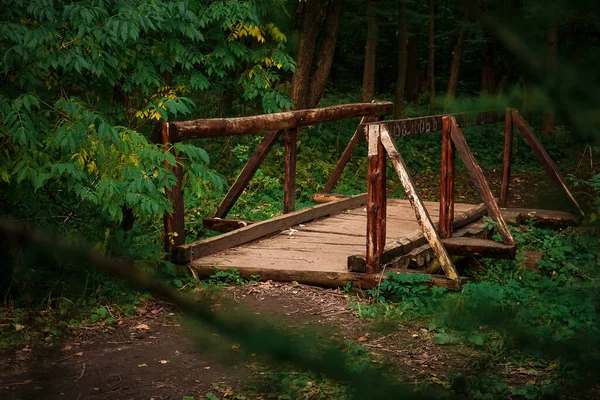 Uma Ponte Madeira Uma Floresta Coberta Vegetação Luz Dia — Fotografia de Stock