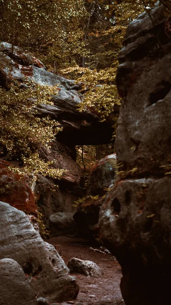 Ormandaki Karanlık Taş Oluşumları Ağaçların Dikey Çekimi — Stok fotoğraf