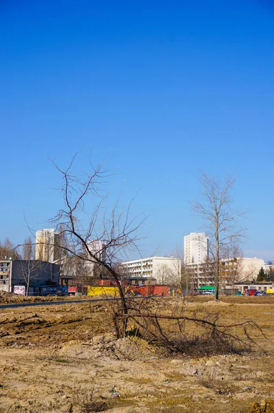 Poznan Polen April 2016 Beschädigter Baum Auf Einer Baustelle Mit — Stockfoto