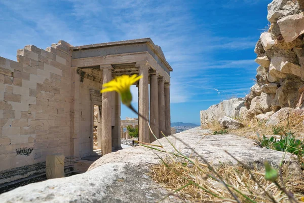 Statue Cariatidi Dell Eretteo Partenone Sul Colle Dell Acropoli Atene — Foto Stock