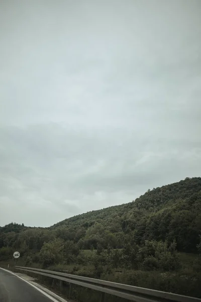Вертикальний Знімок Схилу Деревами Під Похмурим Небом — стокове фото