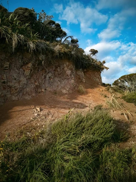 Vista Borda Penhasco Argila Com Pequenas Árvores Manuka — Fotografia de Stock