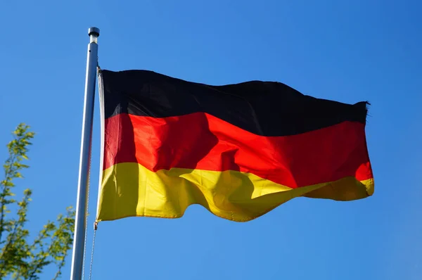 Bandeira República Federal Alemanha Voa Brilhantemente Luz Noite Jardim — Fotografia de Stock