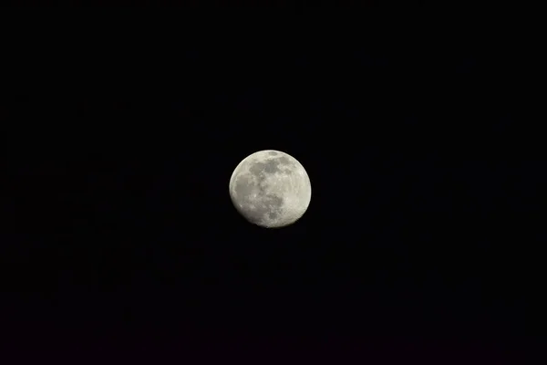 배경에 보름달이 — 스톡 사진