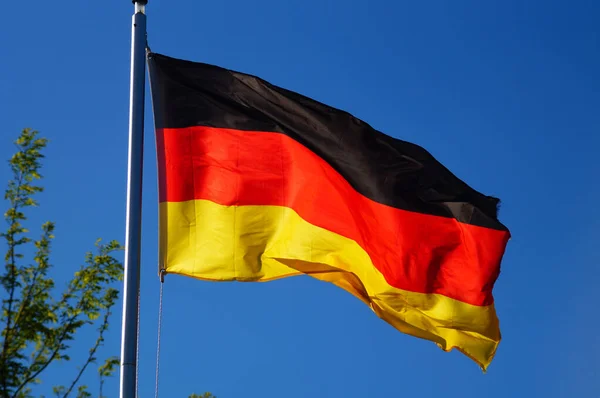 Förbundsrepubliken Tysklands Flagga Flyger Briljant Kvällen Ljus Trädgård — Stockfoto