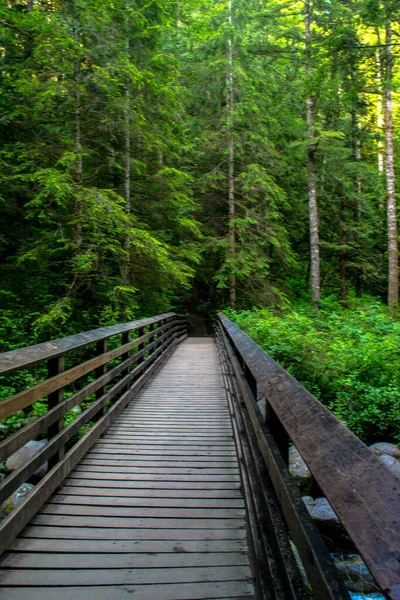 Estrecho Puente Peatonal Madera Través Del Bosque —  Fotos de Stock