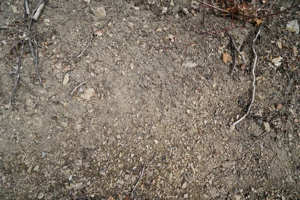 Top View Tiny Stones Twigs Ground Surface — Stock Photo, Image