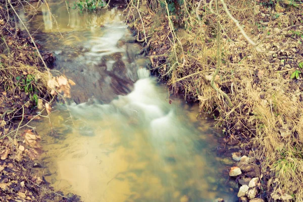 Eine Aufnahme Von Einem Kleinen Thermalwasserstrom Und Getrocknetem Gras — Stockfoto