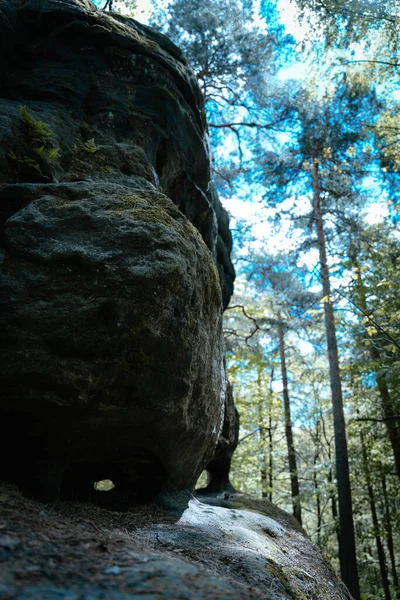 Tiro Ángulo Bajo Rocas Cubiertas Árboles Con Musgo Bosque —  Fotos de Stock