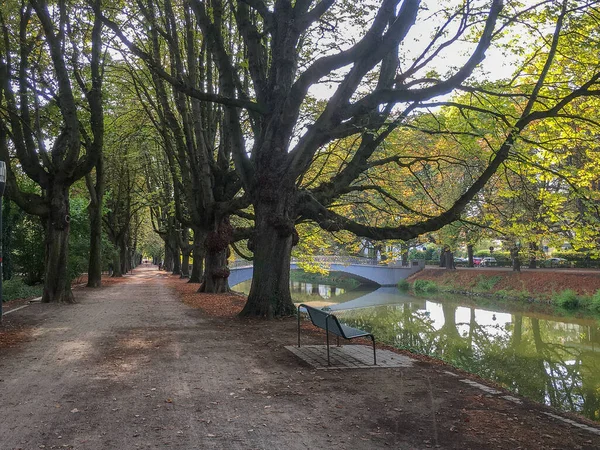 Uzun Ağaçları Nehri Olan Güzel Bir Park — Stok fotoğraf
