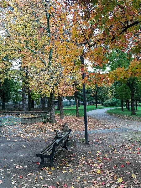 Eine Vertikale Aufnahme Eines Parks Mit Bunten Herbstbäumen Und Bänken — Stockfoto