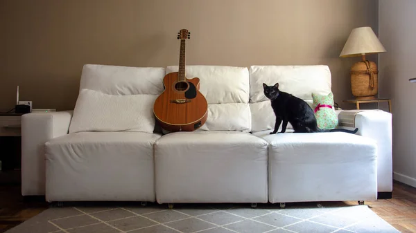 Sofá Uma Sala Estar Com Guitarra Acústica Gato — Fotografia de Stock