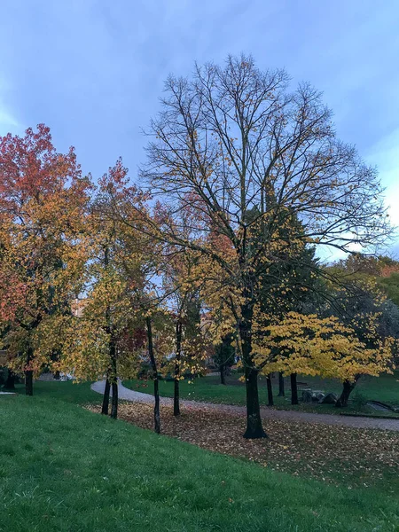 一个有着五彩缤纷的秋天树的公园的垂直照片 — 图库照片