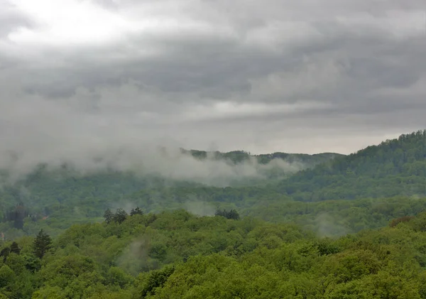 Ein Schöner Blick Auf Nebel Über Den Wald Nach Dem — Stockfoto