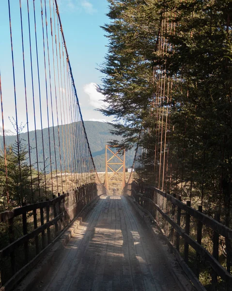 Tiro Ponte Suspensa Madeira Estrada Cercada Por Árvore Lado Direito — Fotografia de Stock