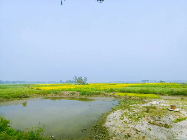 Małe Jezioro Otoczone Zielonymi Żółtymi Polami — Zdjęcie stockowe