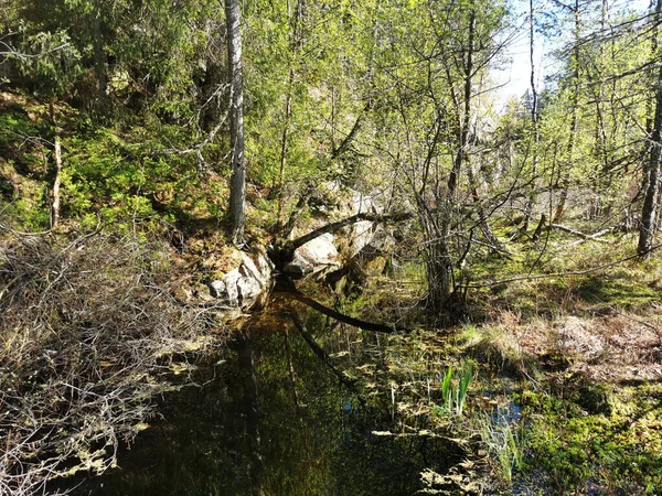 Una Splendida Vista Sul Lago Farris Larvik Norvegia — Foto Stock