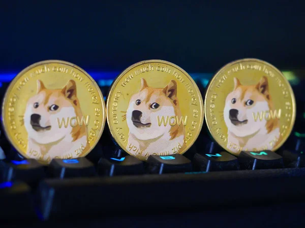 Dogecoin Şifreleme Parasına Yakın Plan Bir Rgb Çalma Klavyesi — Stok fotoğraf