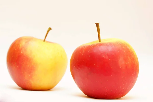 Die Beiden Elsteräpfel Isoliert Auf Weißem Hintergrund — Stockfoto