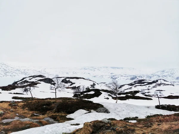 Красивый Пейзаж Озера Кьелаватн Норвегии Зимой — стоковое фото