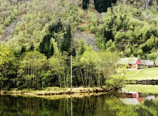 Beau Paysage Norvégien Avec Des Chalets Bord Lac Forêt — Photo