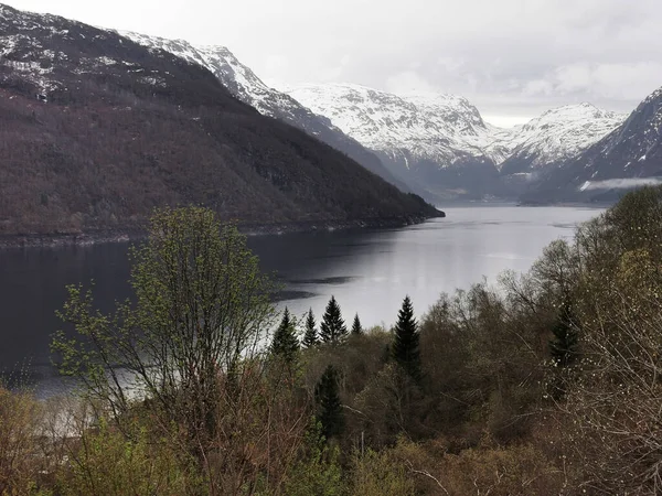 ノルウェーの湖による山と森の美しい風景 — ストック写真