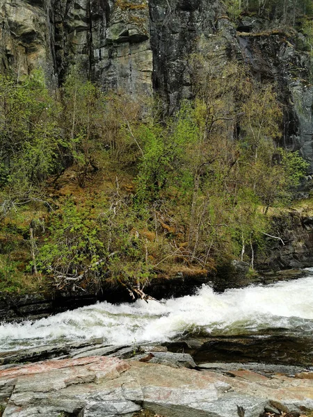 Tiro Vertical Cachoeira Skjervsfossen Noruega — Fotografia de Stock