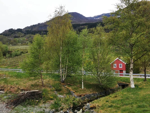 挪威的一个美丽的乡村风景 绿色的森林里有一座红色的小屋 — 图库照片
