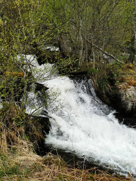 Vertikální Snímek Vodopádu Skjervsfossen Norsku — Stock fotografie