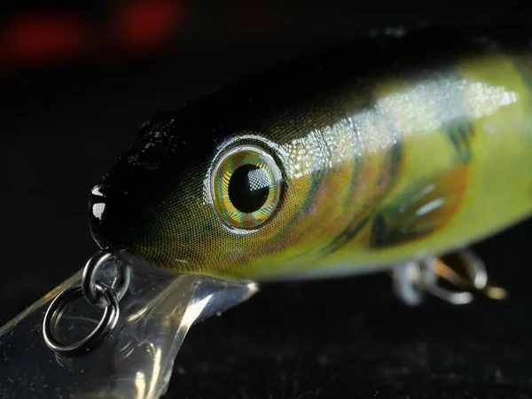 Primer Plano Gancho Juguete Pescado Sobre Fondo Negro —  Fotos de Stock