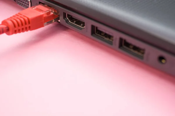Nahaufnahme Eines Lan Kabels Das Mit Einem Laptop Auf Rosa — Stockfoto