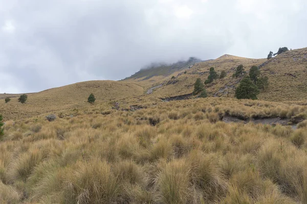 Ein Wanderweg Zum Gipfel Des Vulkanberges Iztaccihuatl Mexiko — Stockfoto
