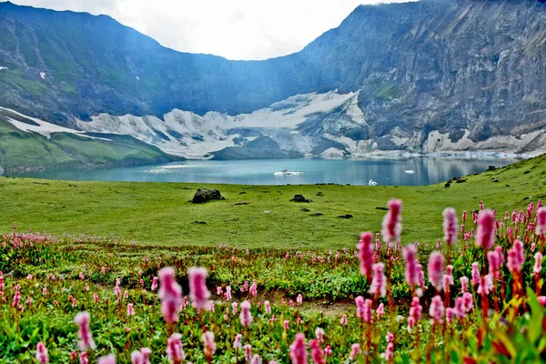 Gros Plan Lac Montagne Avec Des Fleurs Herbe Verte Premier — Photo