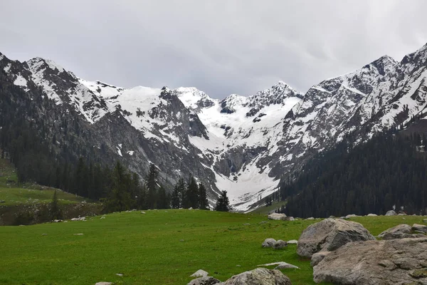 Крупный План Зеленой Лужайки Камней Гор Заднем Плане — стоковое фото