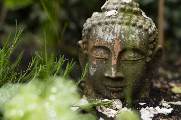 Nahaufnahme Einer Buddha Kopf Statue Auf Dem Boden — Stockfoto