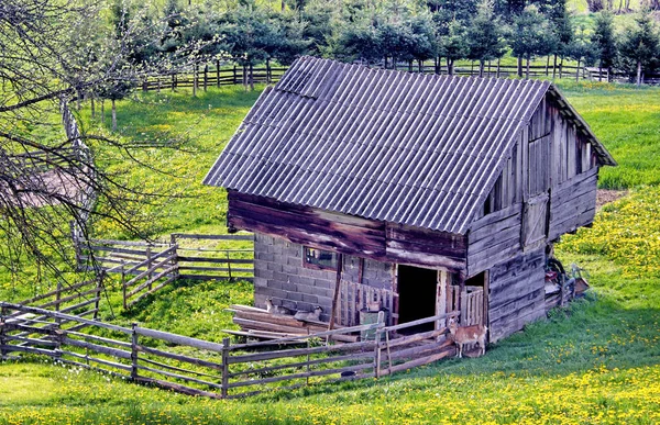 Ένα Πλάνο Από Ένα Αγροτικό Ξύλινο Σπίτι — Φωτογραφία Αρχείου