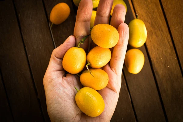 Uma Visão Superior Uma Mão Que Deixa Cair Kumquats Uma — Fotografia de Stock