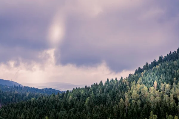 暗い空の下で鬱蒼とした木々のある山の森の空中写真 — ストック写真