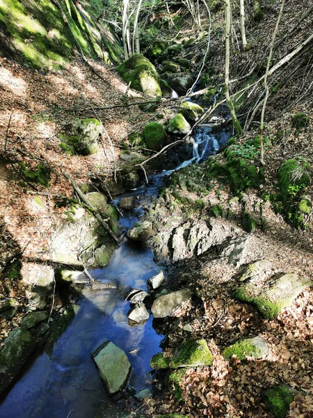 Uma Foto Panorâmica Uma Corrente Água Atravessando Uma Floresta Larvik — Fotografia de Stock