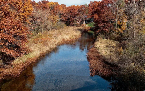 Une Belle Vue Sur Rivière Entourée Arbres Automne Sous Ciel — Photo