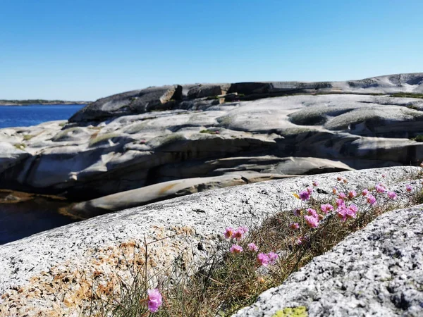 Pintoresco Plano Mar Rodeado Montañas Piedra Verdens Ende Noruega — Foto de Stock