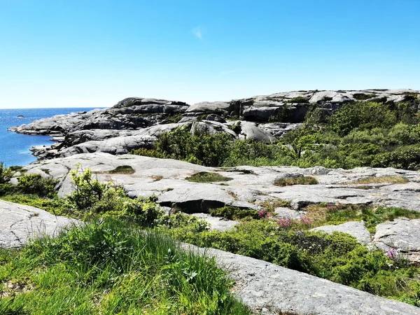 Красивый Снимок Каменной Земли Травой Перед Морем Верденсе Норвегия — стоковое фото